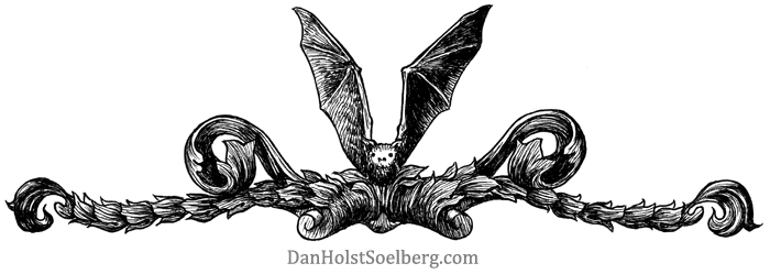 Dan Holst Soelberg header graphic